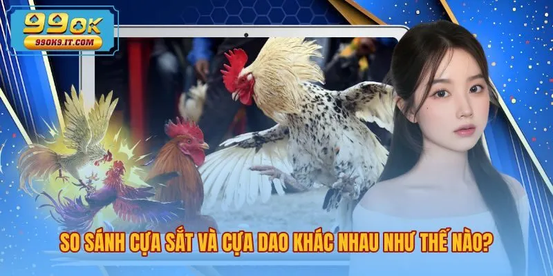 Đặc trưng hình thái vũ khí và nhịp độ tranh tài